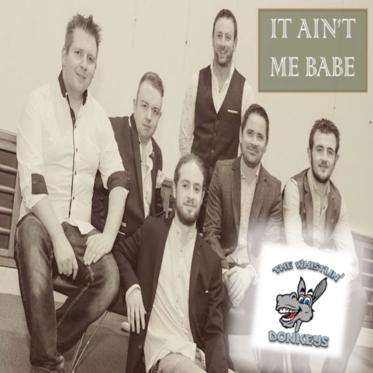 Album cover of It Ain't Me Babe