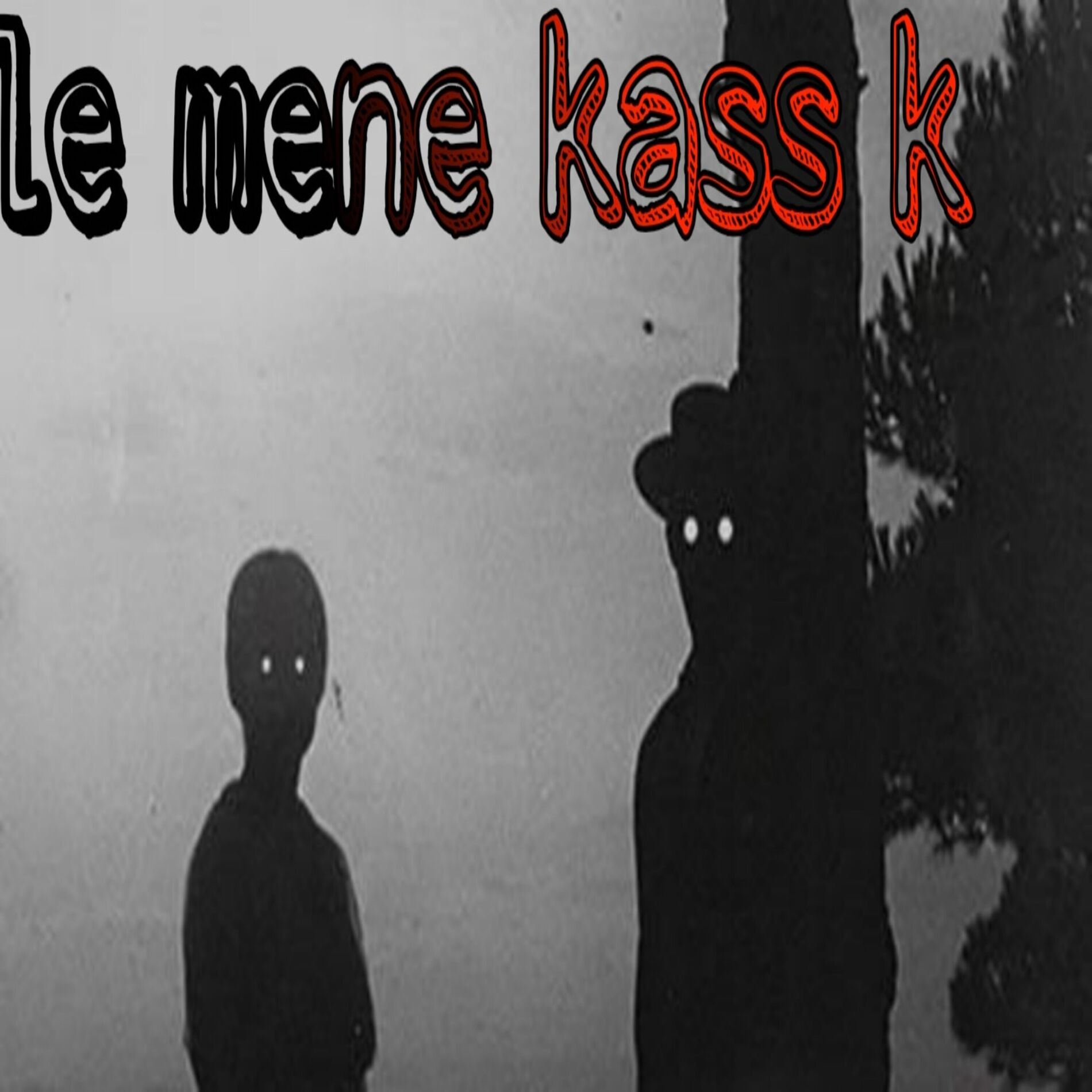 Album cover of le mene kas k