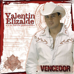 Cover of Vencedor