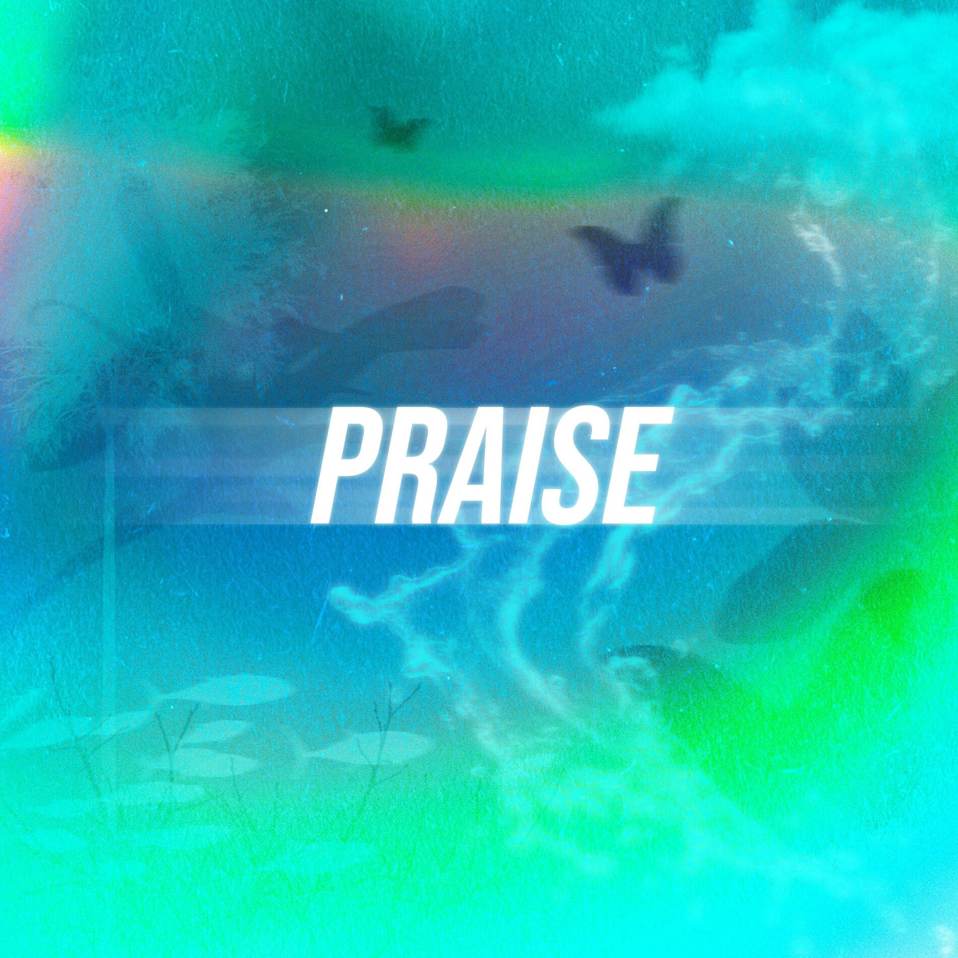 Album cover of Praise (With. Siwon Choi) (Live)