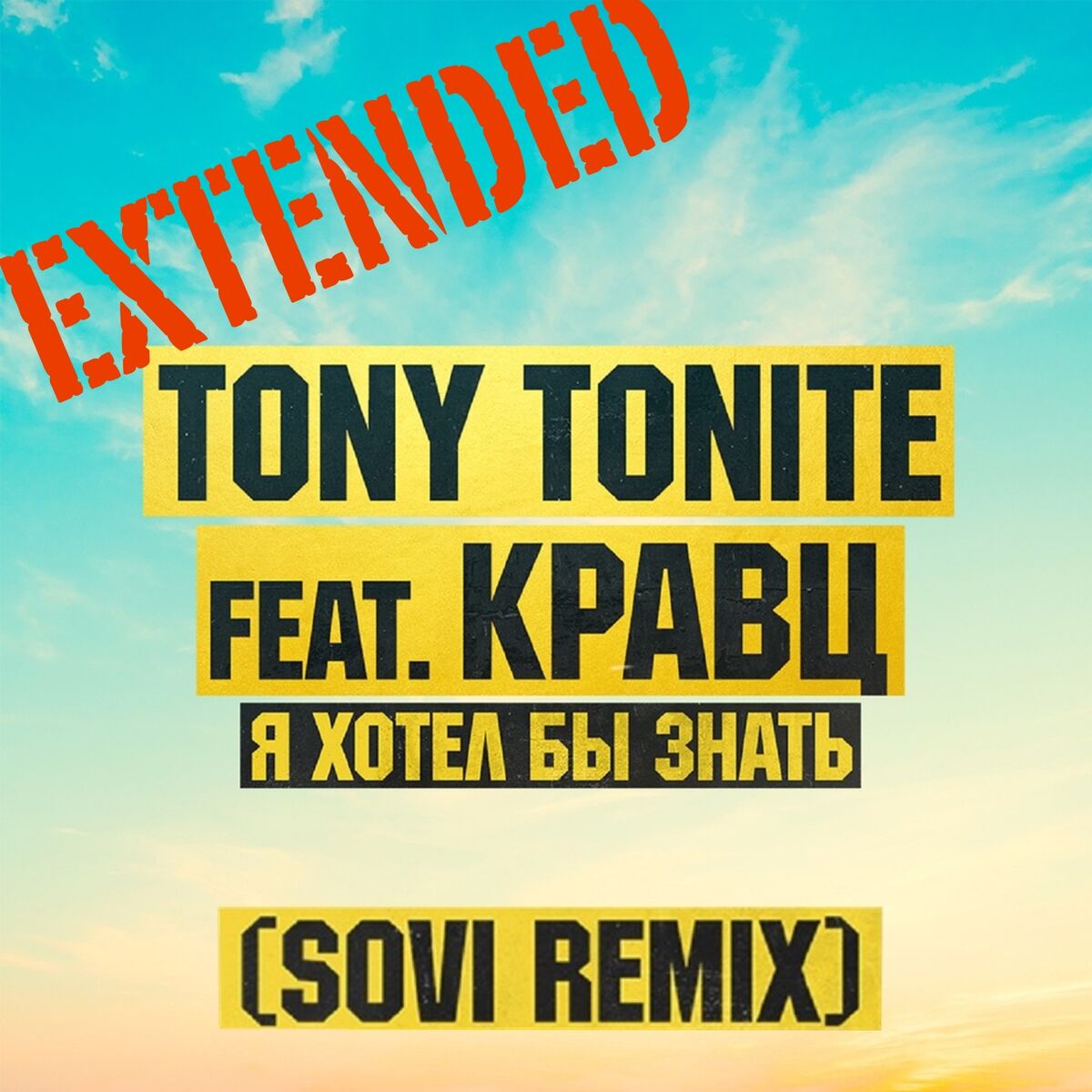 Album cover of Я хотел бы знать (Sovi Extended Remix)