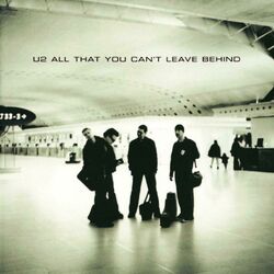 Cover of All That You Can't Leave Behind