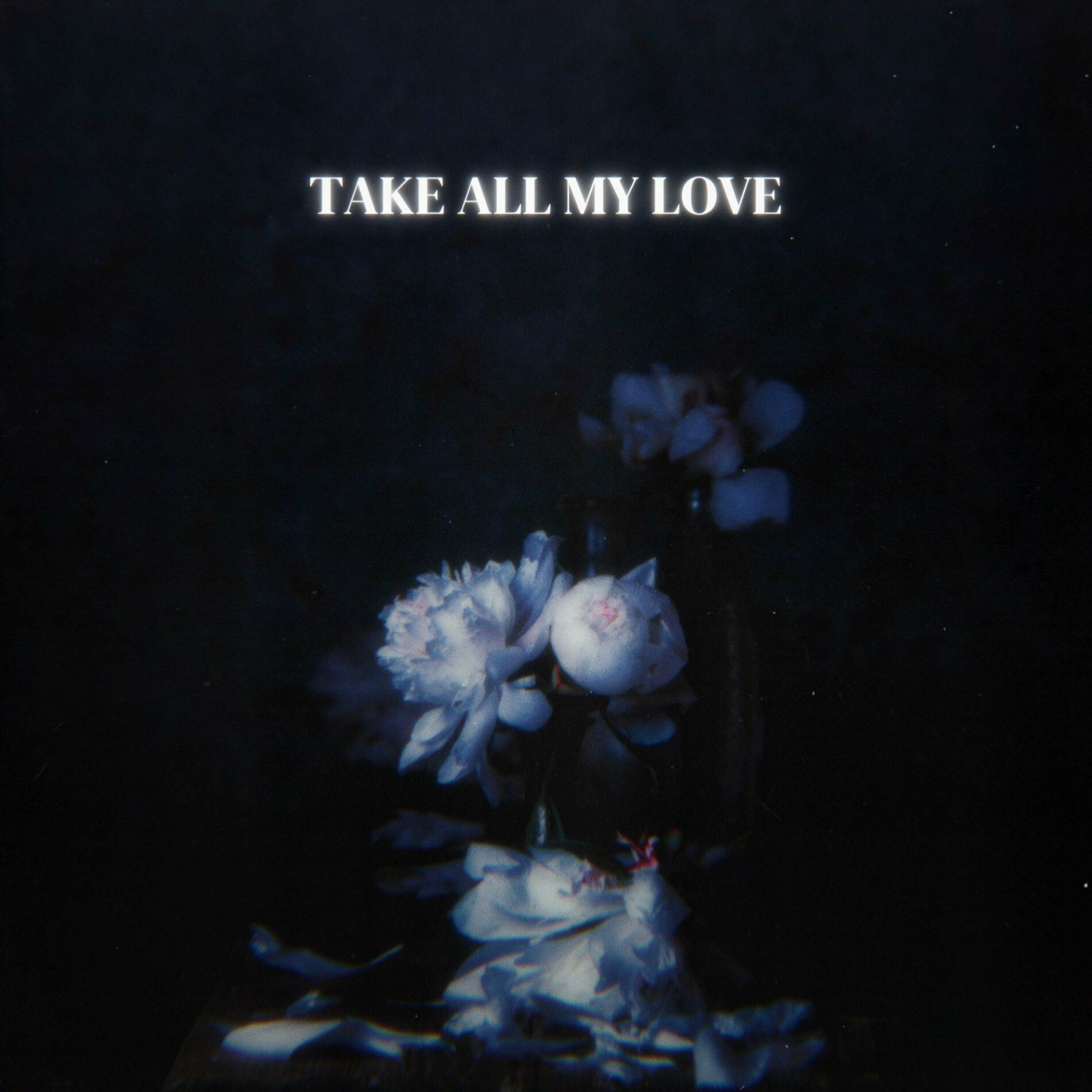 Album cover of Take All My Love