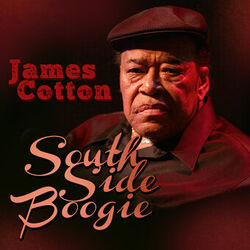 Cover of South Side Boogie