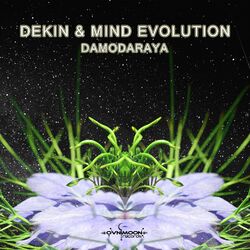 Cover of Damodaraya