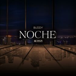 Cover of Noche