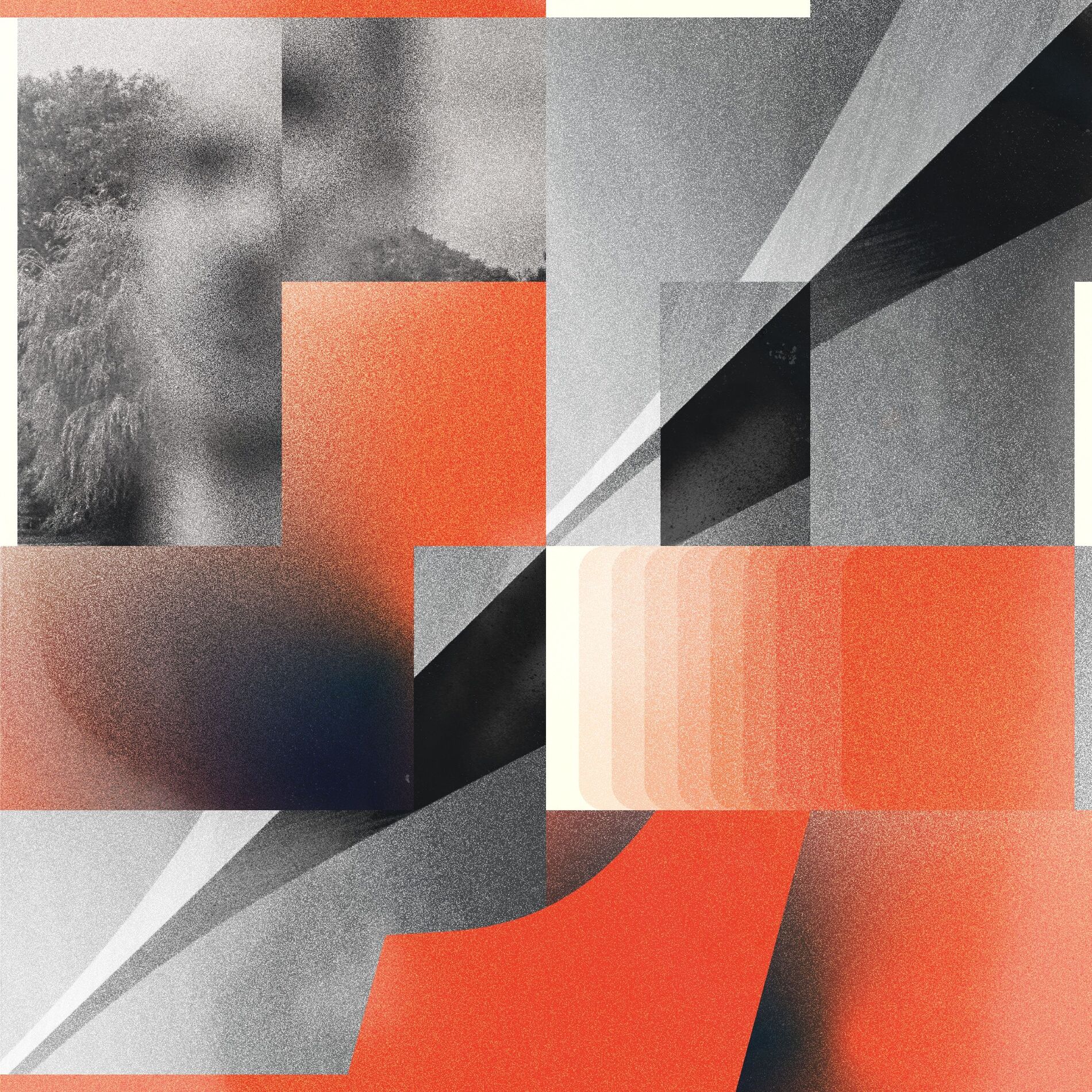 Album cover of Mole
