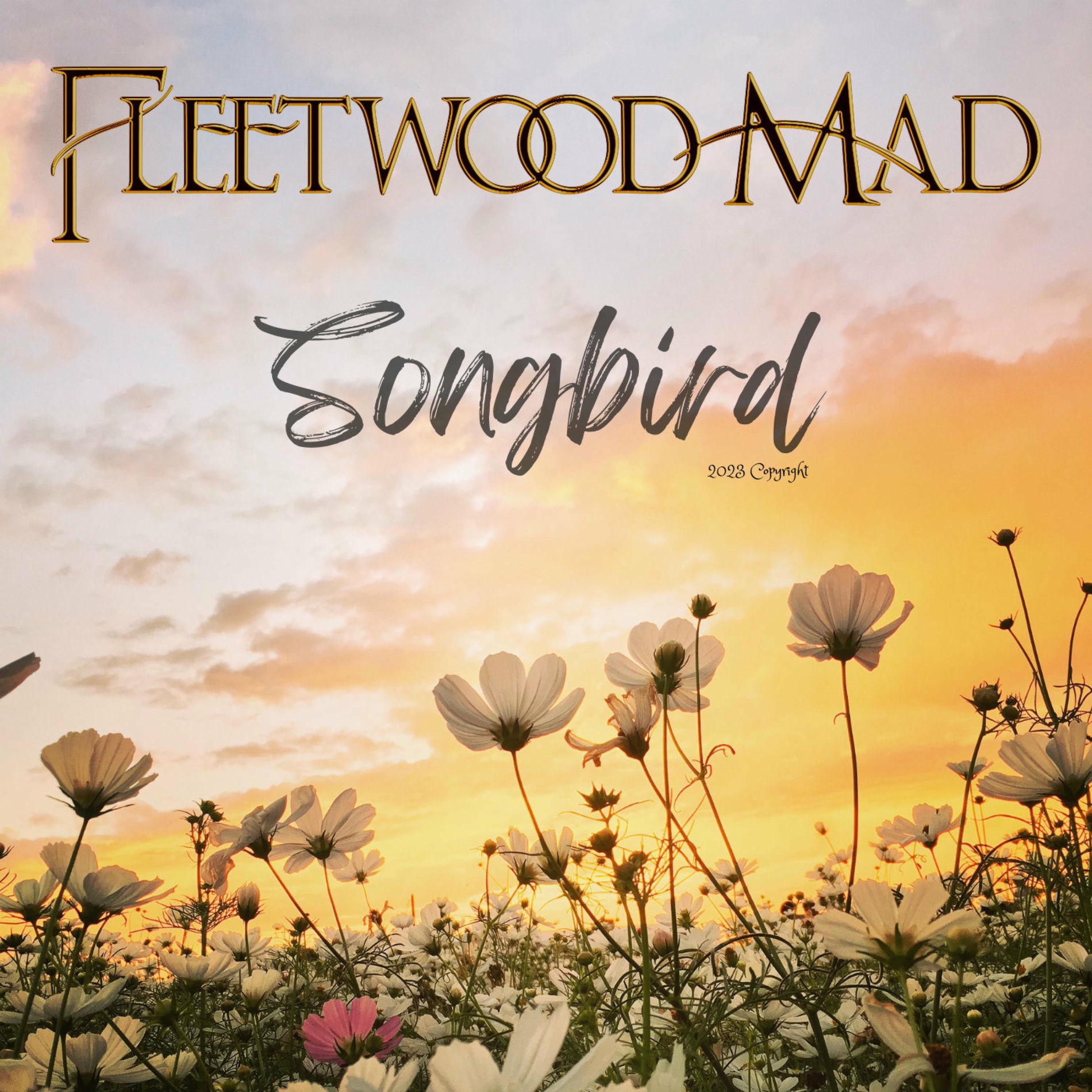 Album cover of Songbird
