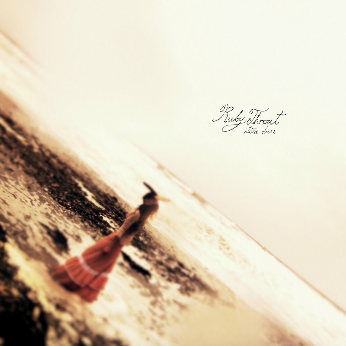 Album cover of Stone Dress