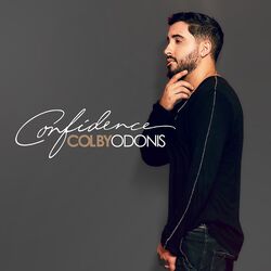 Cover of Confidence