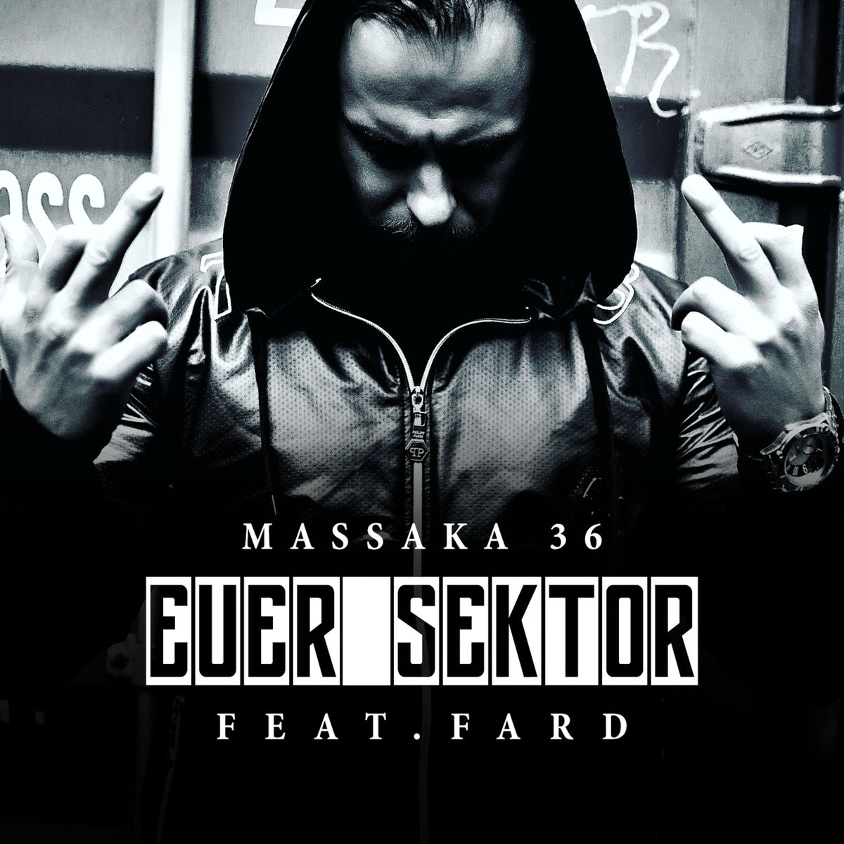 Album cover of Euer Sektor (feat. Fard)
