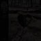 Unfocused / Discomfort