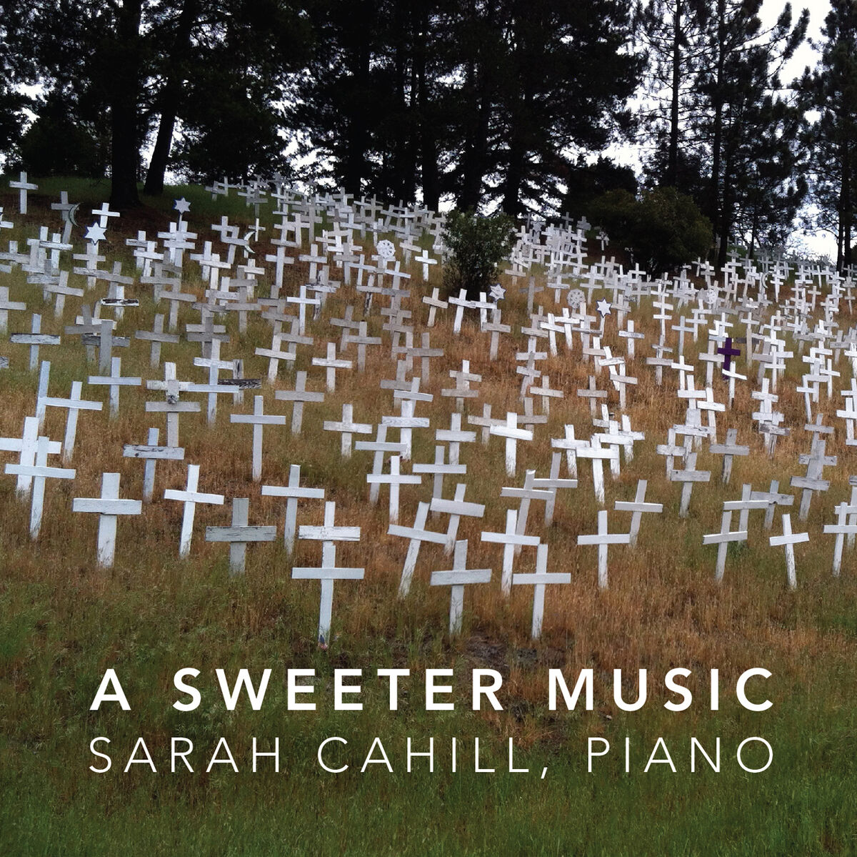 Album cover of Steppe Music (Excerpts)