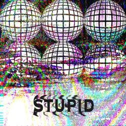 Cover of Stupid