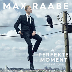 Cover of Der perfekte Moment… wird heut verpennt
