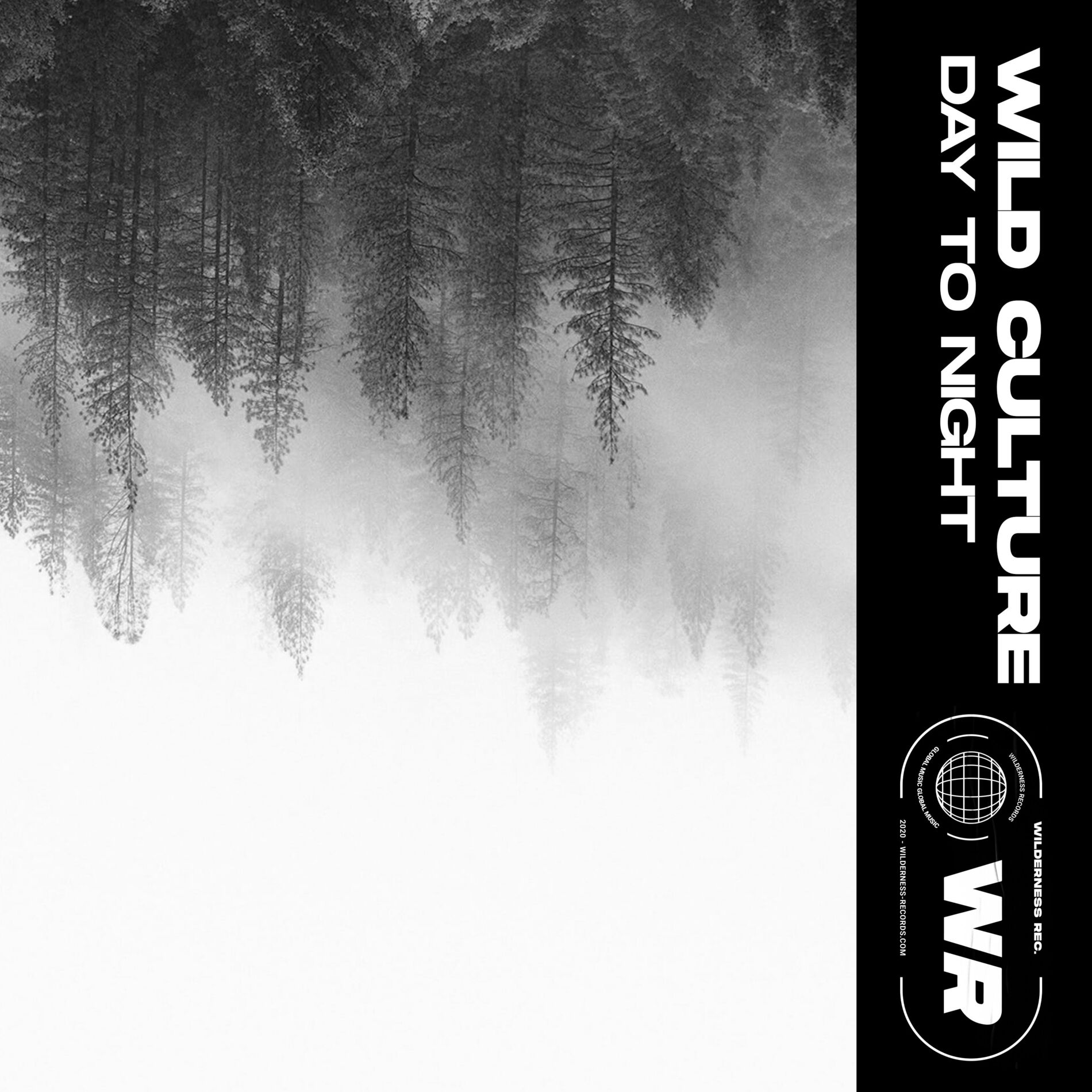 Album cover of Day To Night