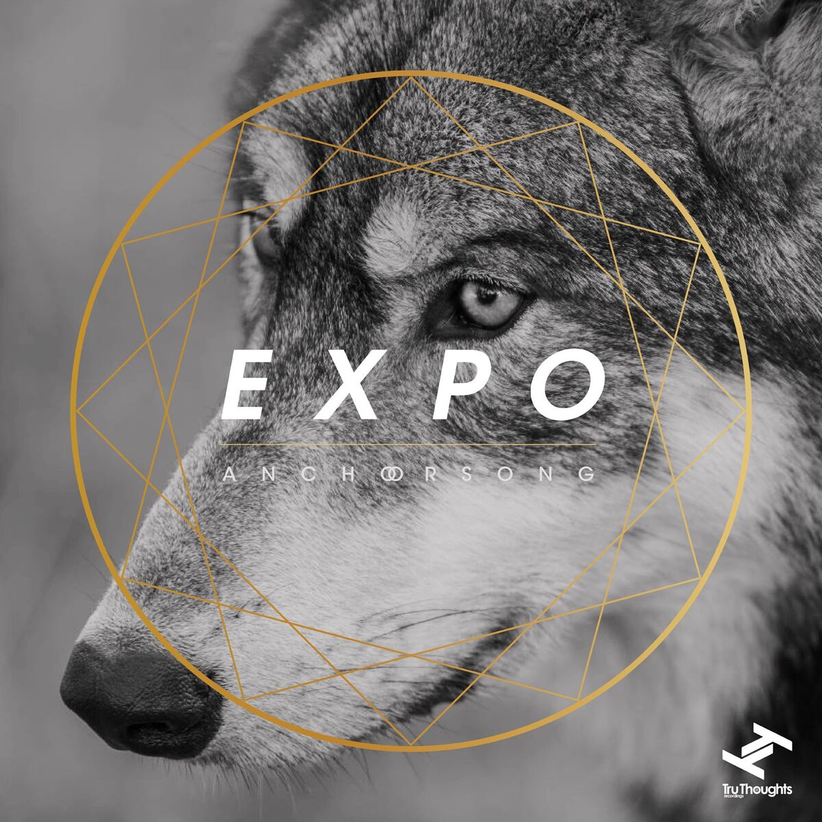 Album cover of Expo