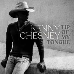 Cover of Tip of My Tongue