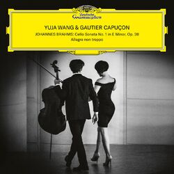 Cover of Brahms: Cello Sonata No. 1 in E Minor, Op. 38: I. Allegro non troppo