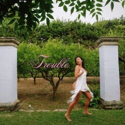 Cover of Trouble