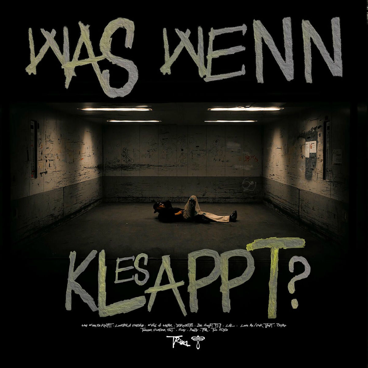 Album cover of WAS WENN ES KLAPPT?