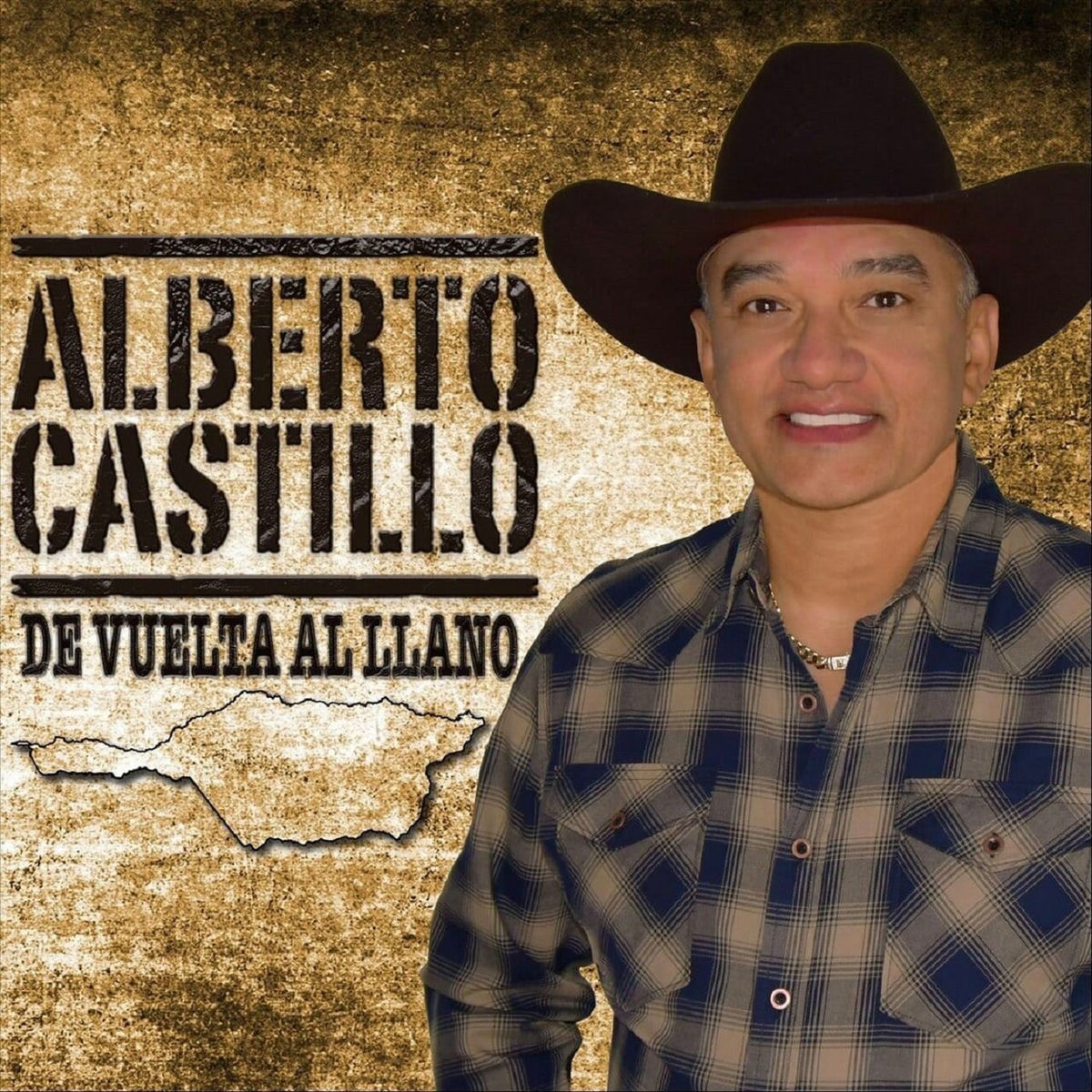 Album cover of De Vuelta al Llano