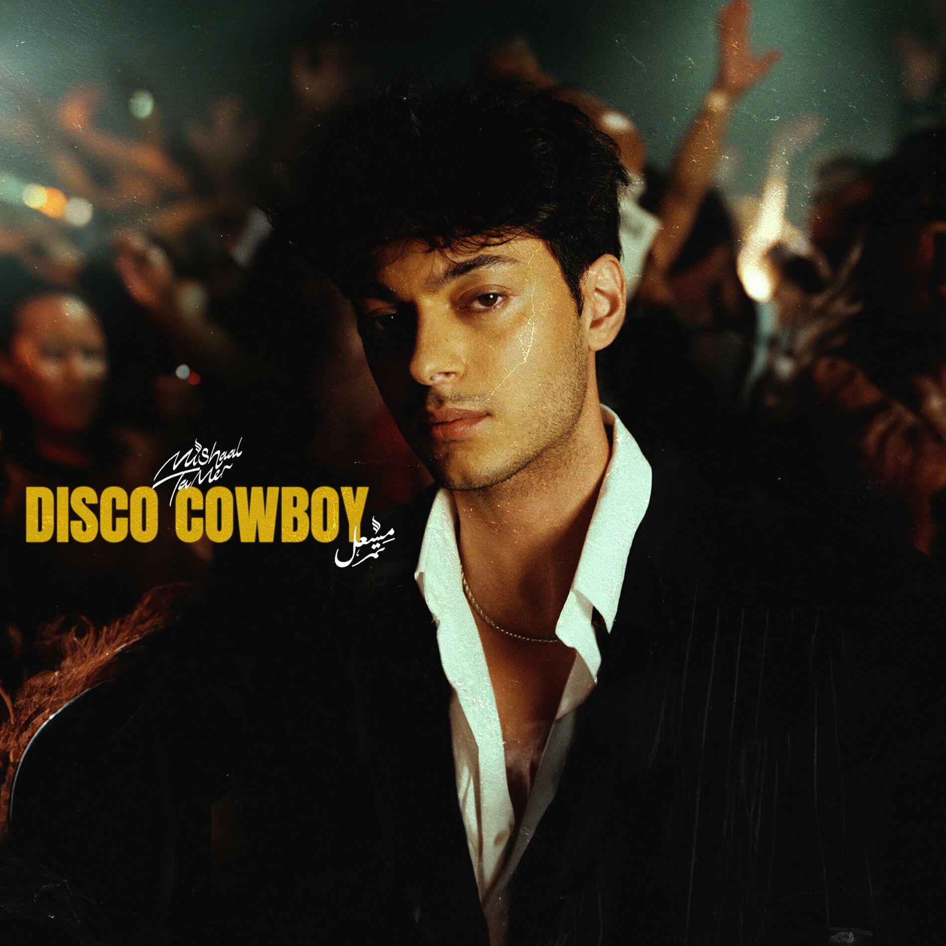 Album cover of DISCO COWBOY