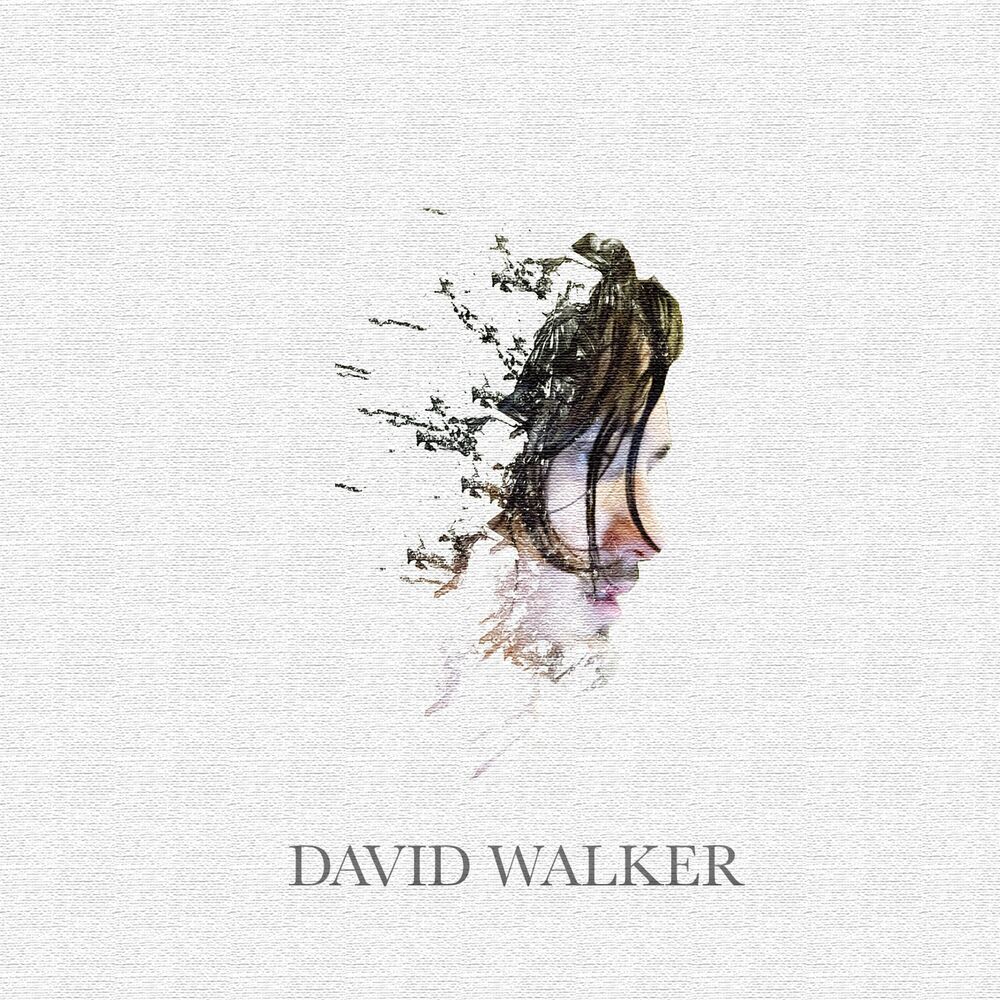 Picture of David Walker C.K