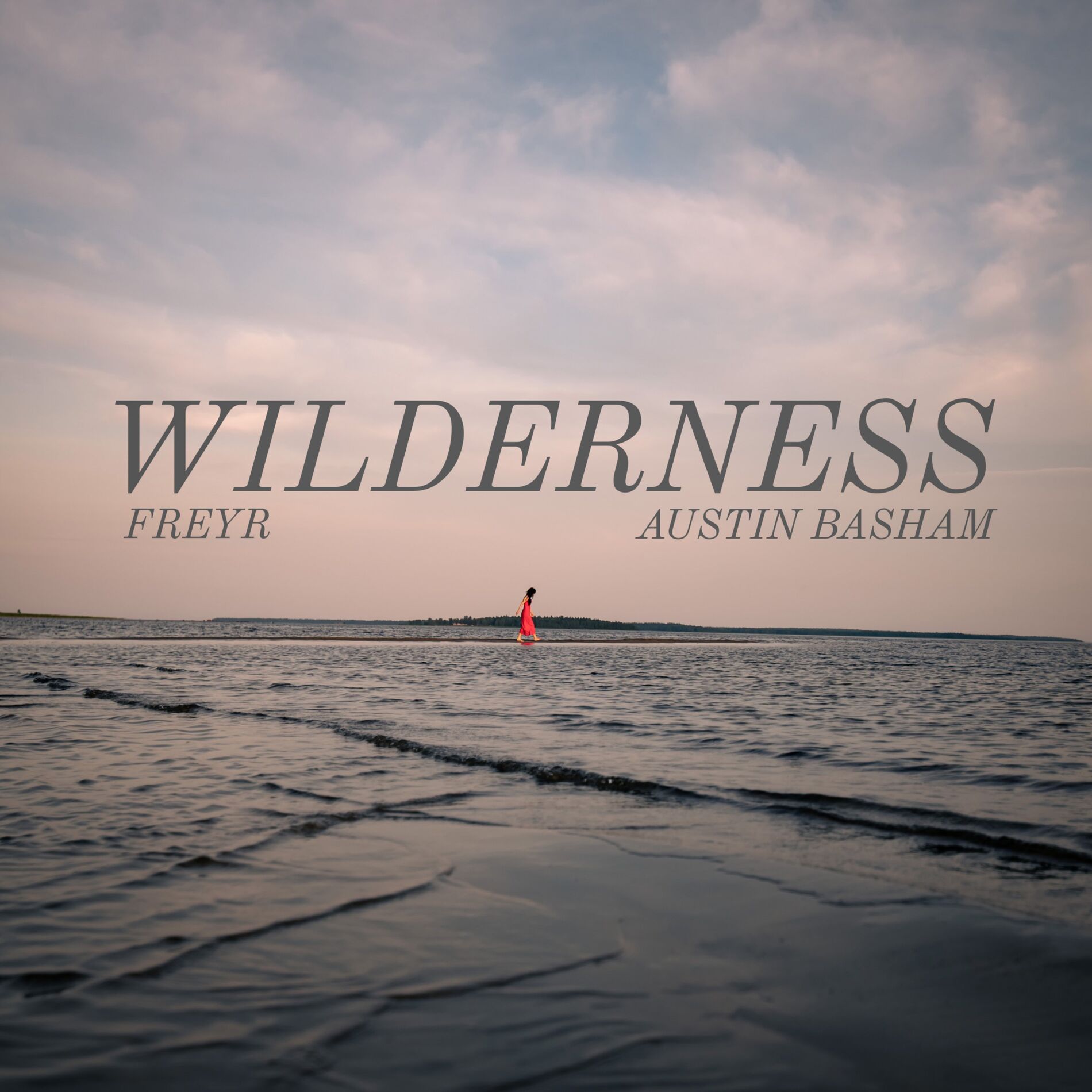 Album cover of Wilderness