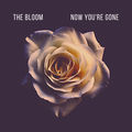 Now You're Gone