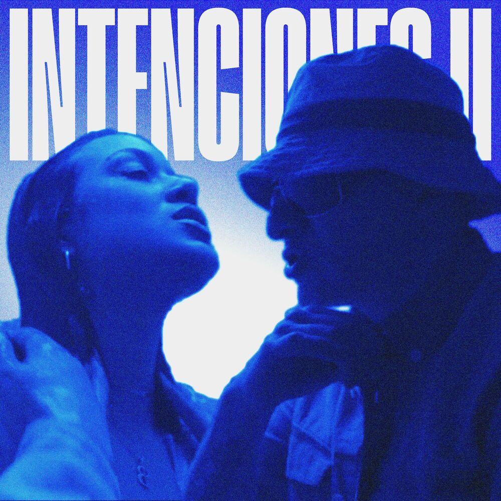 Picture of INTENCIONES II