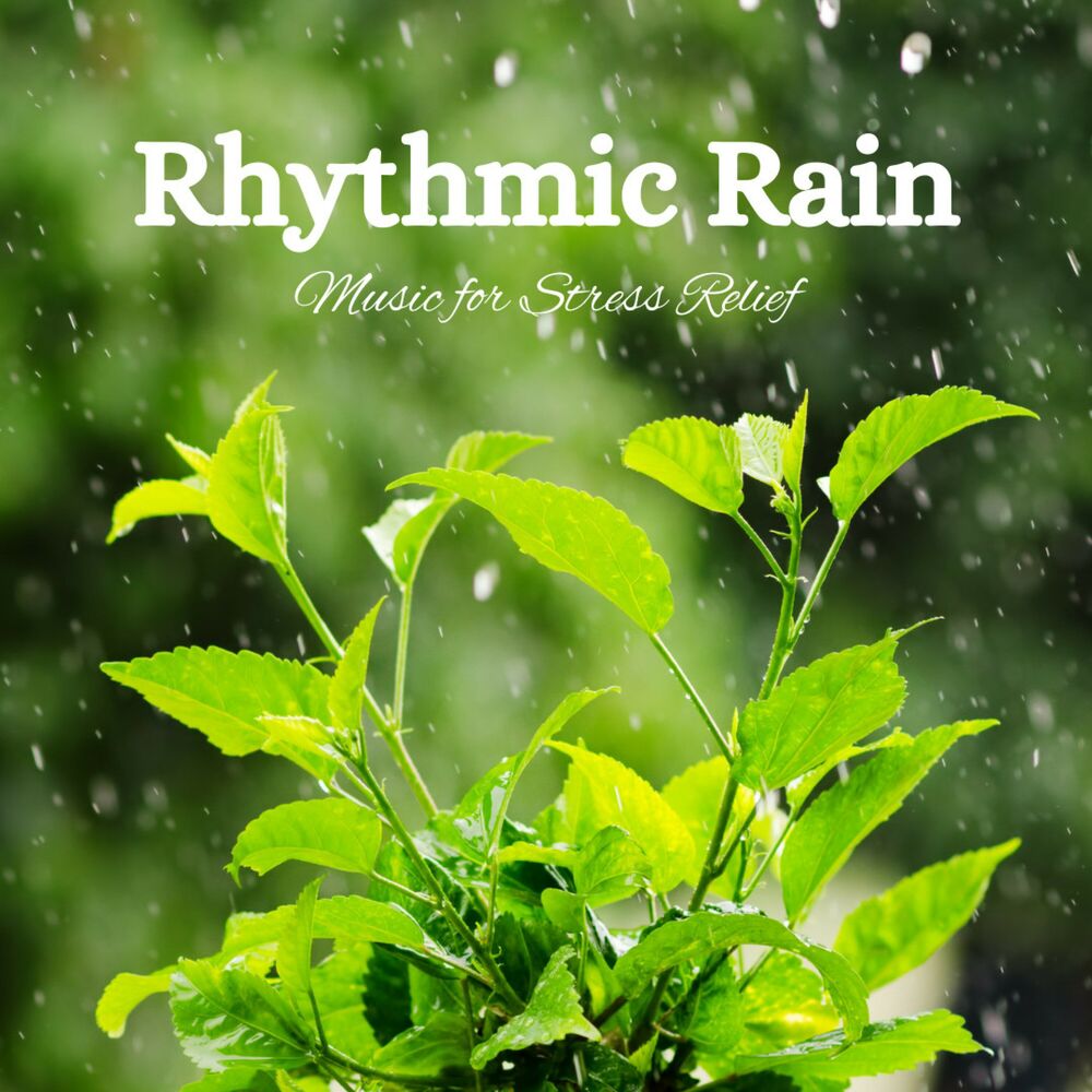 Picture of Rhythmic Rain: Music for Stress Relief