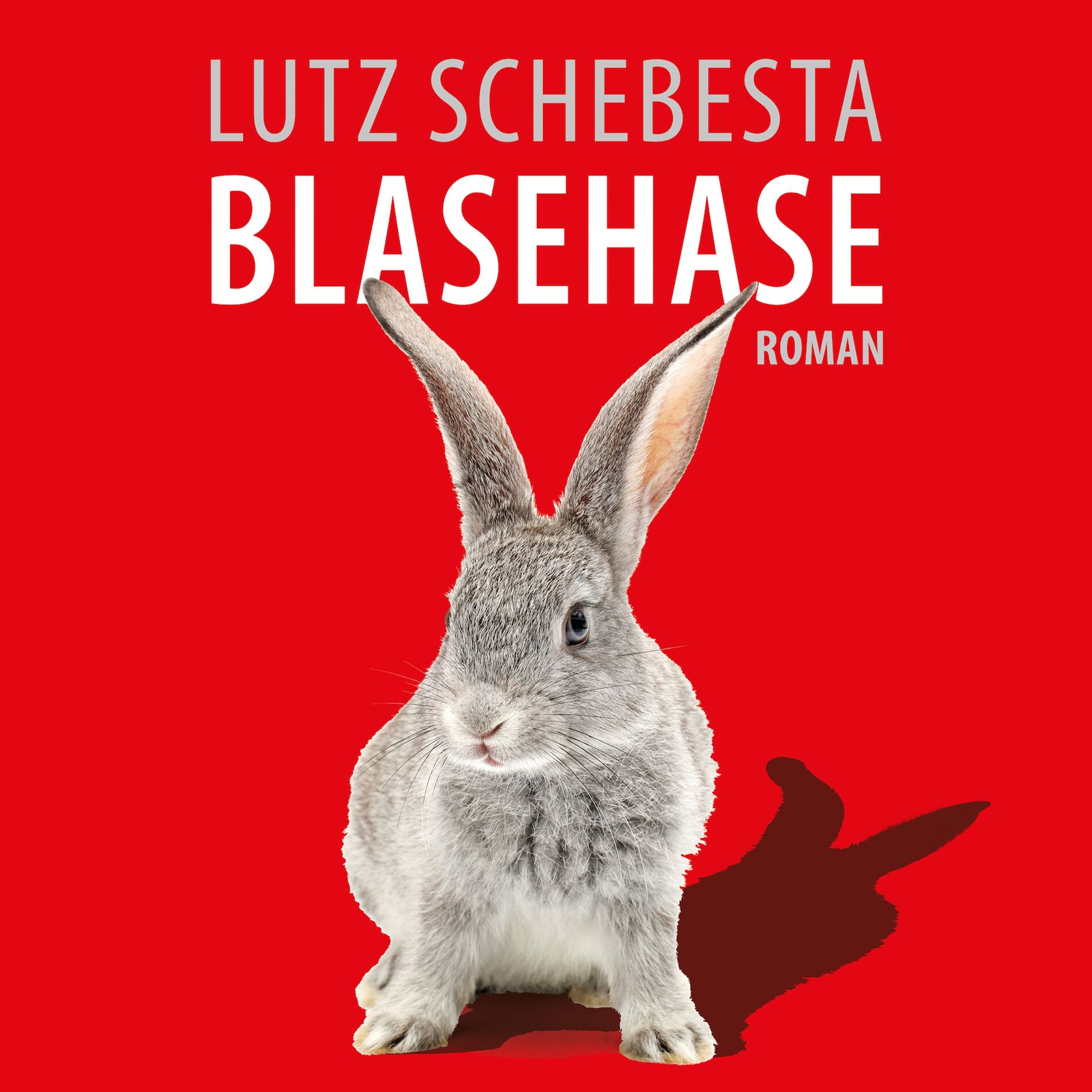 Album cover of Blasehase
