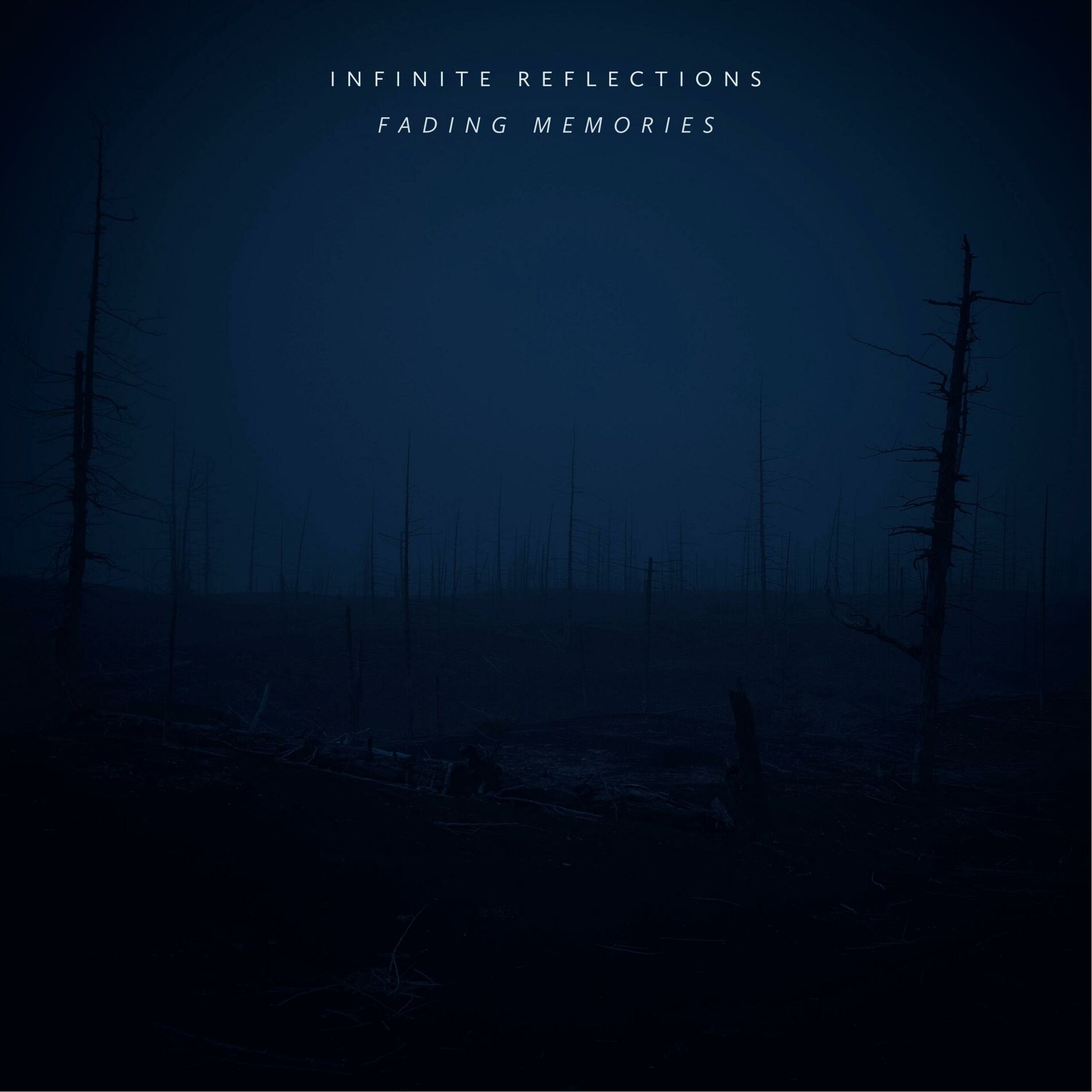 Album cover of Fading memories