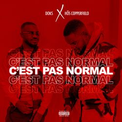 Cover of C'est pas normal