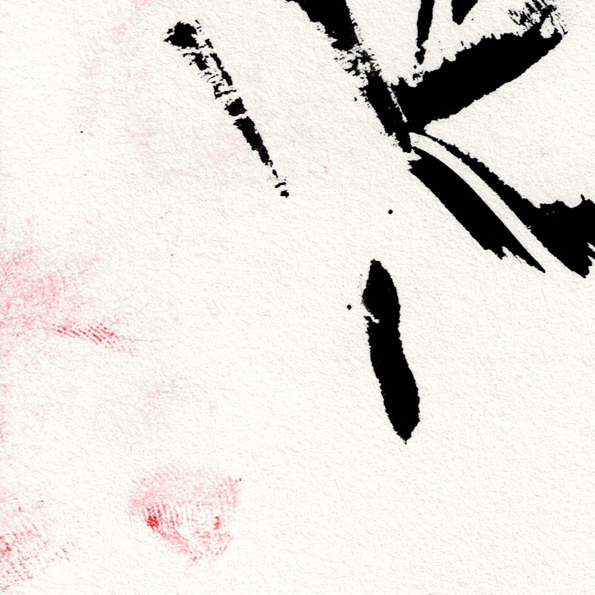 Album cover of P.A.