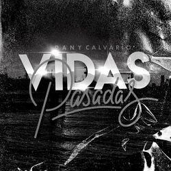 Cover of Vidas Pasadas