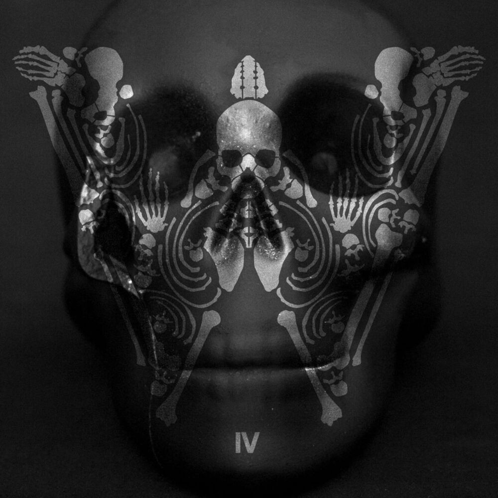Picture of IV