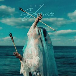Cover of Стрелы