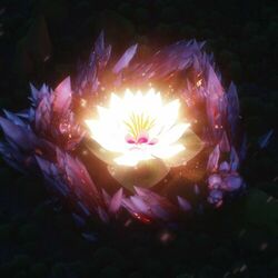Cover of Birth of a Flower