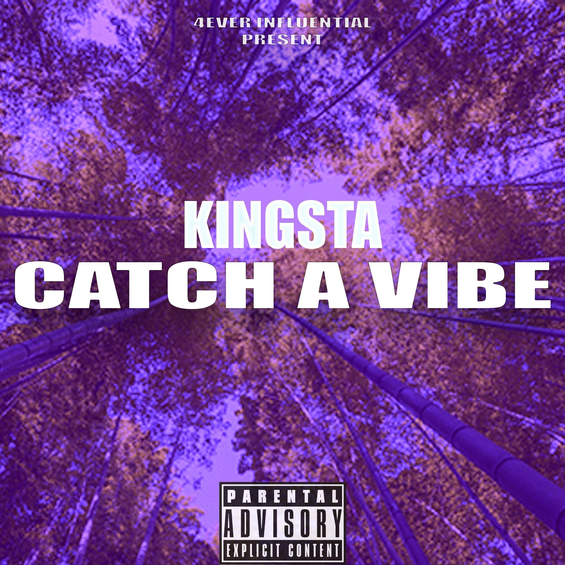 Album cover of Catch A Vibe