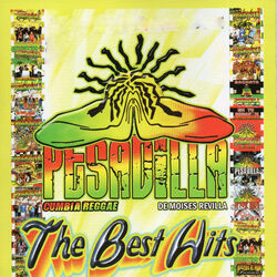 Cover of The Best Hits