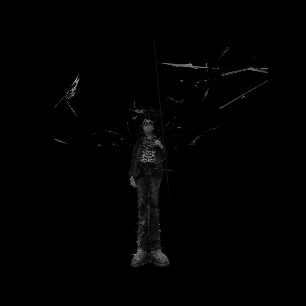 Album cover of The Evershining Stars