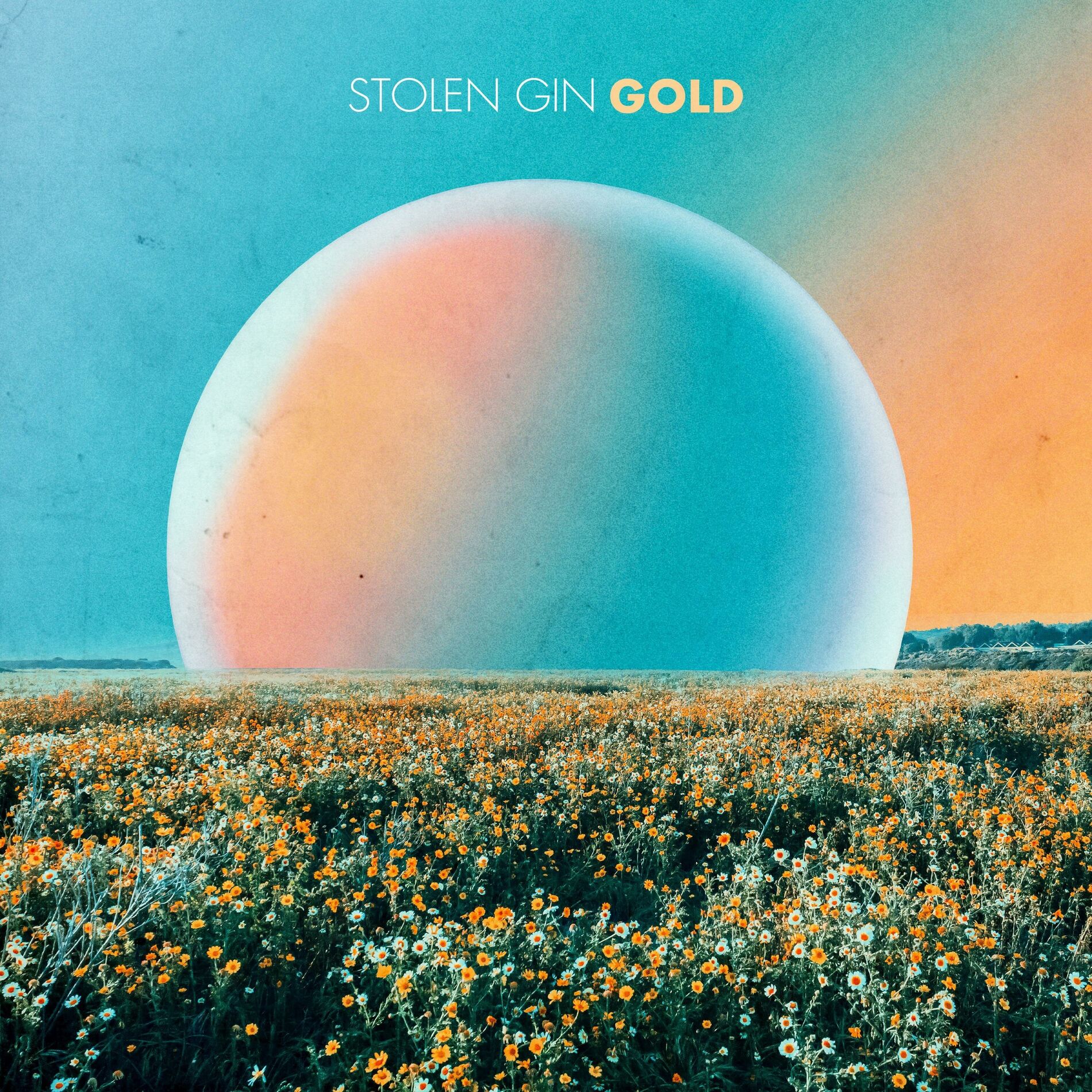 Album cover of Gold