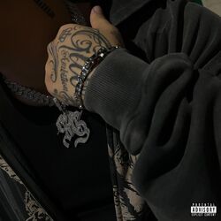 Cover of BLEED