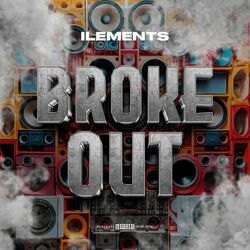 Cover of Broke Out