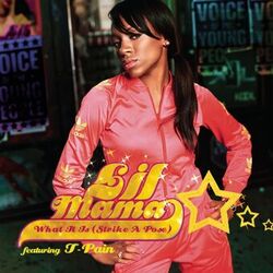 Cover of What It Is (Strike A Pose) featuring T-Pain - Single