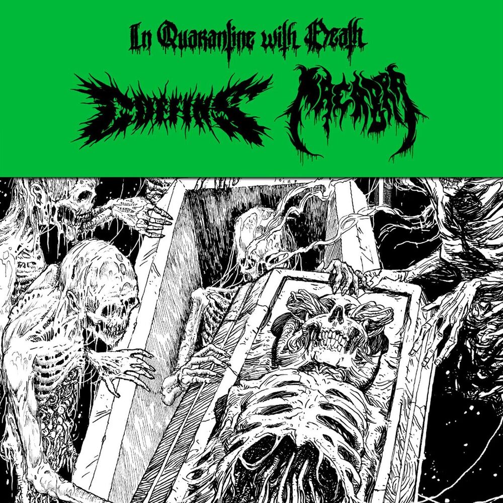 Picture of In Quarantine with Death
