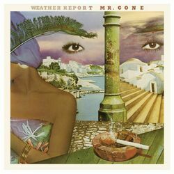 Cover of Mr. Gone