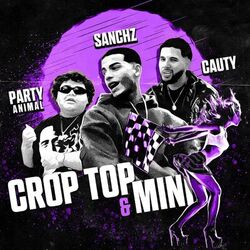 Cover of Croptop y Mini